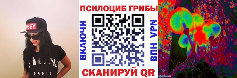 Галлюциногенные грибы Psilocybine cubensis  Черняховск 