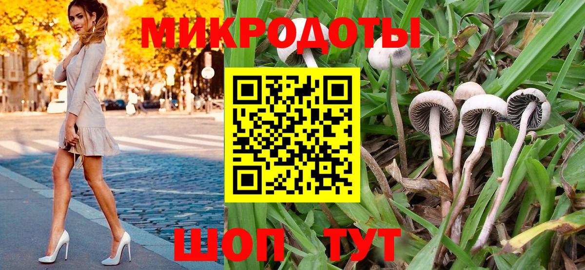 Псилоцибиновые грибы мухоморы  Черняховск 