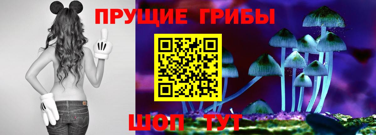 Псилоцибиновые грибы Psilocybine cubensis Черняховск