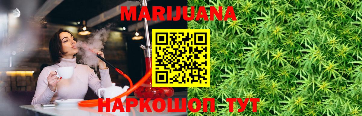 Каннабис OG Kush Черняховск